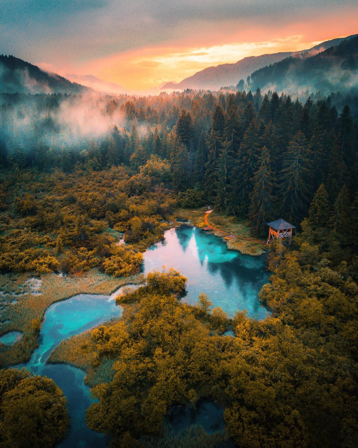 Aerial of the turquoise springs at Zelenci at sunset, with a wooden lookout among autumn trees and mist in the valley