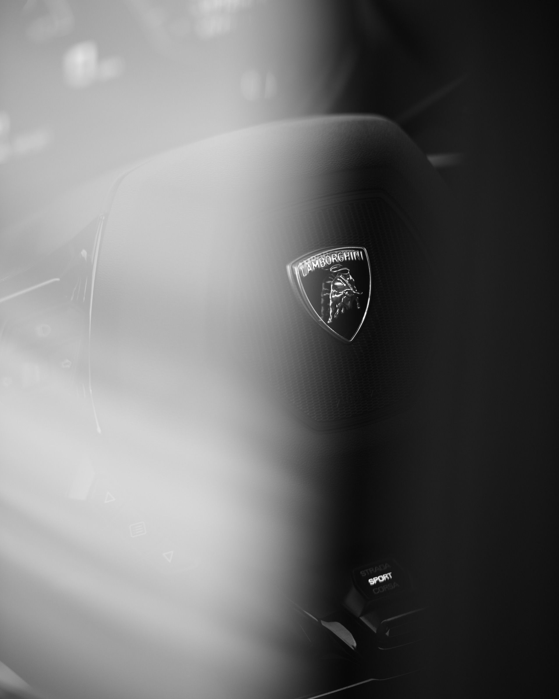 Black-and-white detail of the Lamborghini bull badge on a car seat headrest