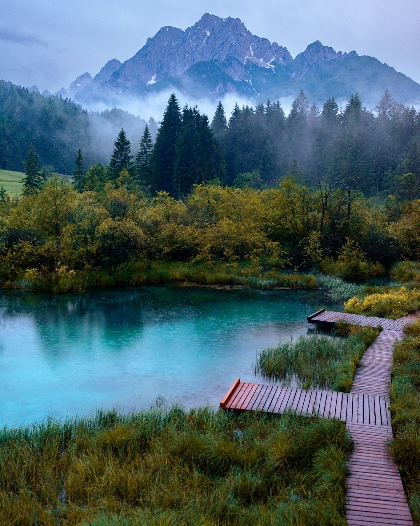 A wooden boardwalk beside the turquoise pool at Zelenci in the rain, with misty peaks above