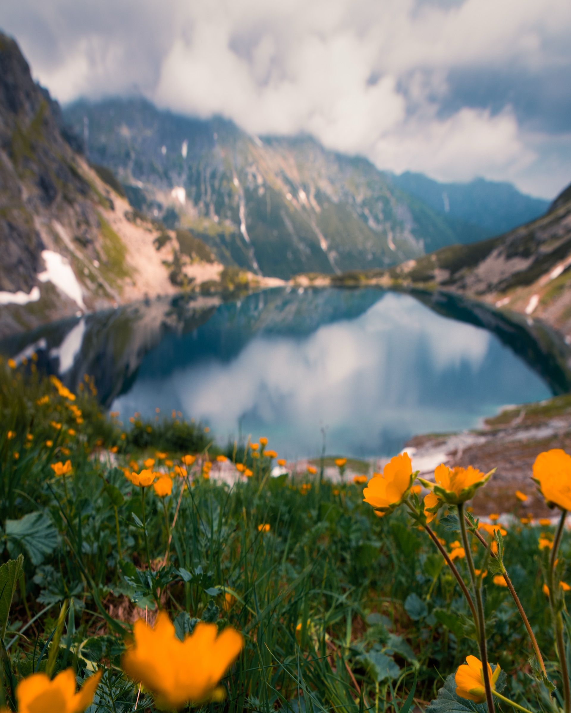 Orange wildflowers in front of a mountain lake reflecting clouds